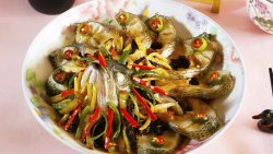涪陵榨菜蒸鲈鱼——乌江榨菜