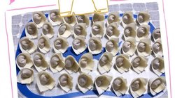 简单到没朋友的小馄饨