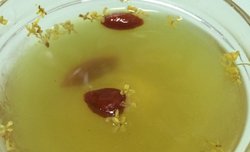 水晶桂花糕(桂花布丁)