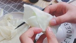 烤鸭薄饼(超市饺子皮)