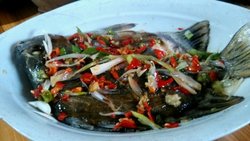 蚝油清蒸鱼