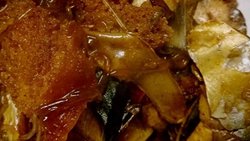 油焖鲅鱼大饼子