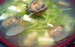 蛤蜊豆腐萝卜丝汤