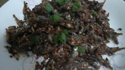 麻辣小鱼