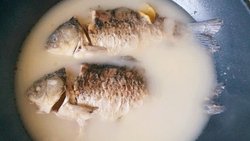 鲫鱼汤（家常做法）