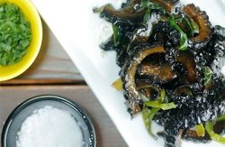 葱烧海参丨酱汁浓厚的高蛋白【微体兔菜谱】