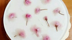 樱花慕斯蛋糕