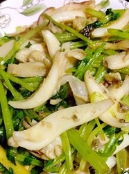 芹菜目鱼
