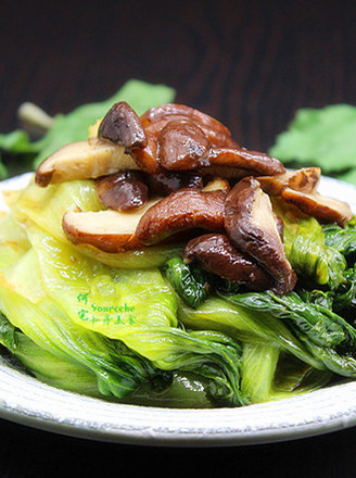 香菇炒生菜