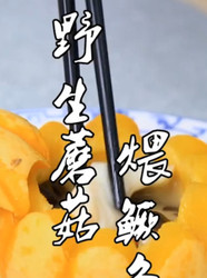 野生蘑菇煨鳜鱼