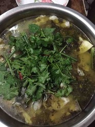 酸菜鱼