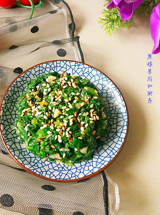 凉拌小蓟草