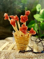 干枝梅
