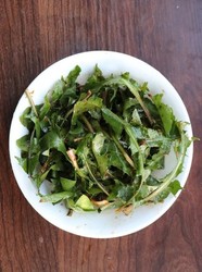 凉拌蒲公英