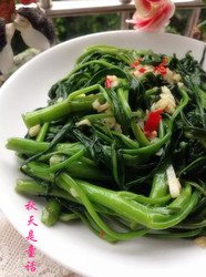 辣炒通菜