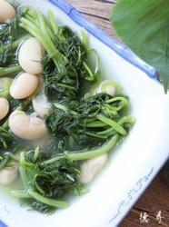 茴香白芸豆汤