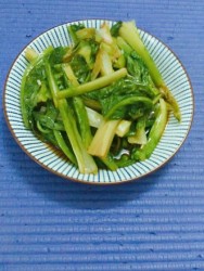 盐水油麦菜