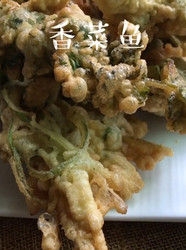 香菜鱼