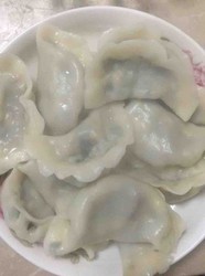 鸡蛋木耳黄瓜虾仁韭菜饺子