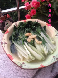 清水小白菜