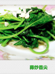 蒜炒苕尖