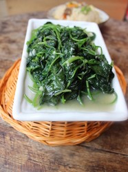 蒜香地瓜苗