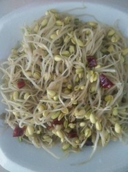 素炒豆芽