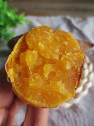 香糯烤红薯