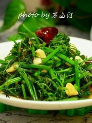 蒜香丝瓜苗头