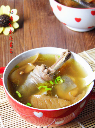 元蘑炖鸡汤