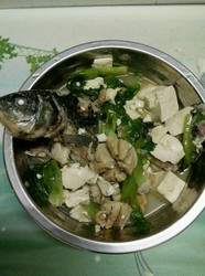 豆腐猪肉丸鲫鱼汤