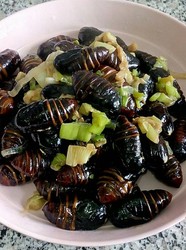 大葱炒茧蛹