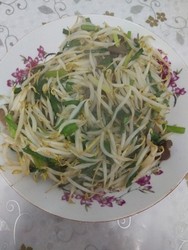 韭菜豆芽