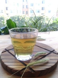 蒲公英水