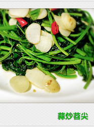 蒜炒苕尖