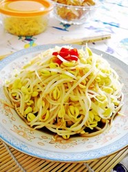 温拌黄豆芽