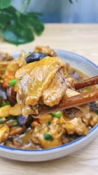 家常焖鸡肉