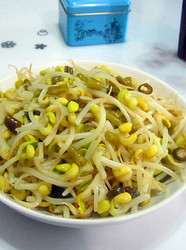 酸辣黄豆芽