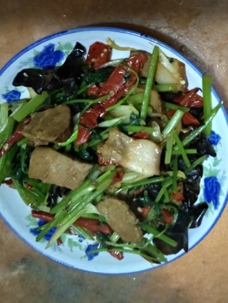 茴香肉炒芹菜
