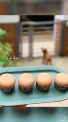 可可纸杯蛋糕