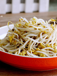 素炒绿豆芽
