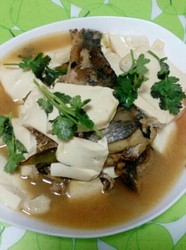 青鱼炖豆腐