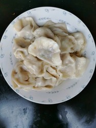 鸭肉饺