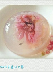 玫瑰海石花