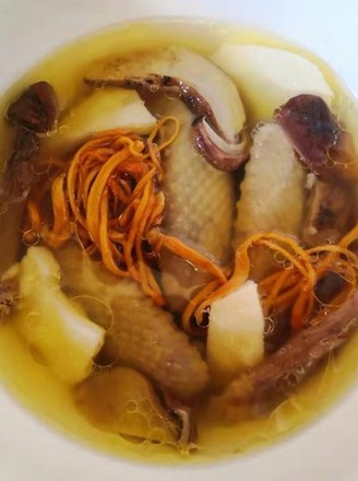 老鸽椰子汤（鸽子&椰子）
