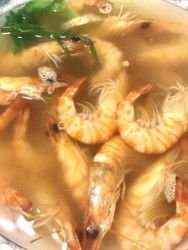 盐水斑节虾