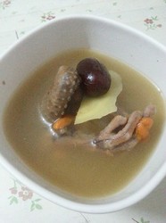 鸽子汤