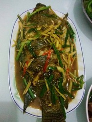 香煎鱼