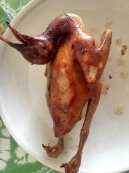 三杯鸽