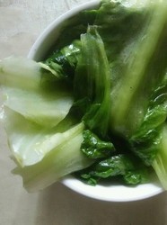生菜
